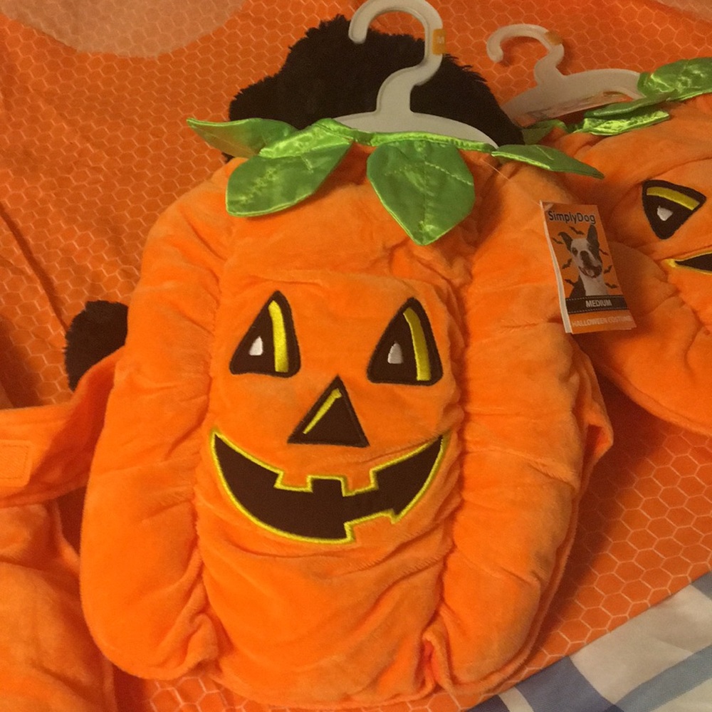 Dog Halloween pumpkin costume